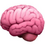 Brein emoji